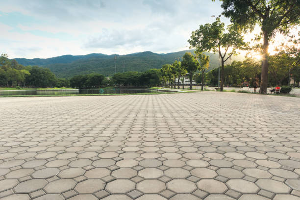 Best Professional Driveway Pavers  in Selma, AL